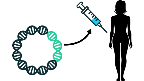 plasmid dna