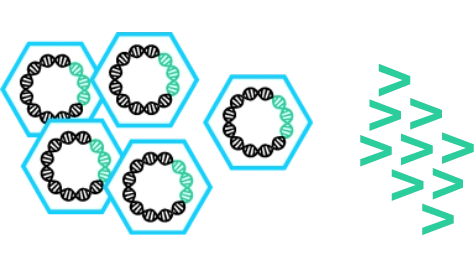 self amplifying viral vector astrivax